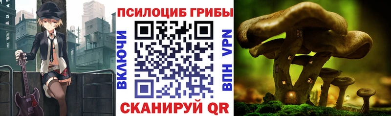 Галлюциногенные грибы ЛСД  Купить  Ахтубинск 